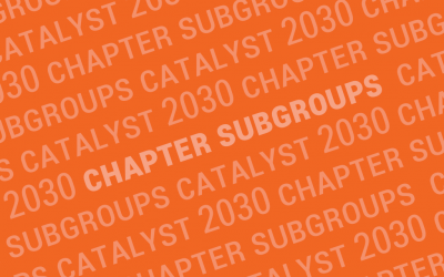 Chapter Subgroups