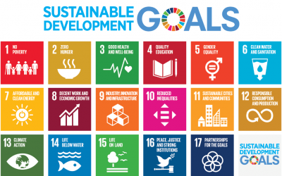 Quais são os Objetivos de Desenvolvimento Sustentável (ODS) e por que eles são importantes?